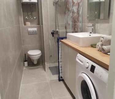 Kosancicev Venac Apartment | Grujo Apartment