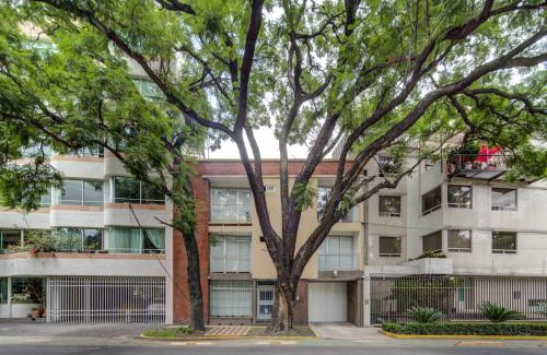 Miguel Hidalgo Apartment | Grupo Kings Suites - Horacio 1525