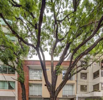 Miguel Hidalgo Apartment | Grupo Kings Suites - Horacio 1525