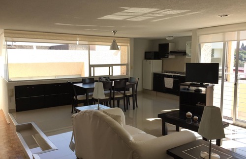 Bosques de las Lomas Apartment | Grupo Kings Suites Magnolia