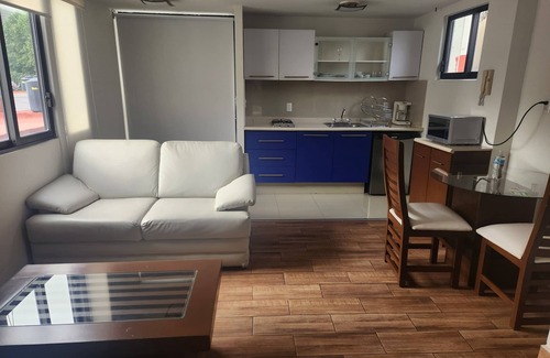 Miguel Hidalgo Apartment | Grupo Kings Suites Platon 436