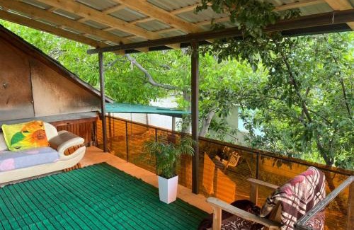 Karakol House | Guest House Alina