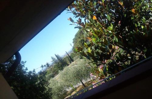 Montecchio House | Guest House Fiore di Loto