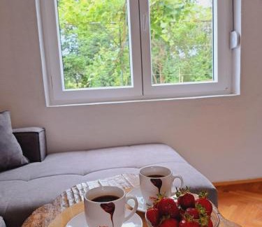 Ljubuski Apartment | Guest house Green River