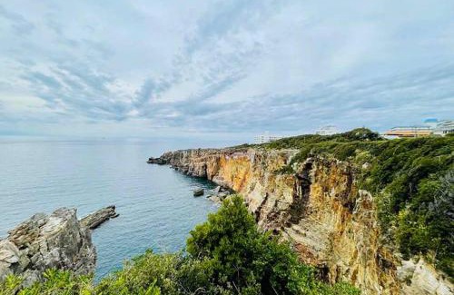 Kamitonda House | Guest House Koyama -南紀白浜 ゲストハウス 小山- ペット可