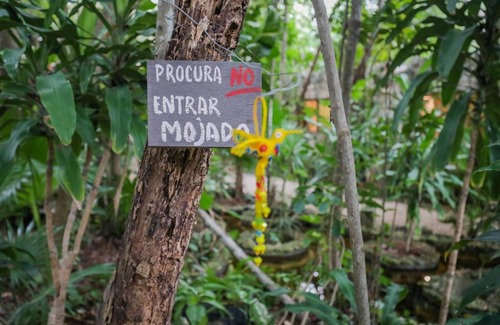 Cancun House | Guest House La Aldea Holistic Experience