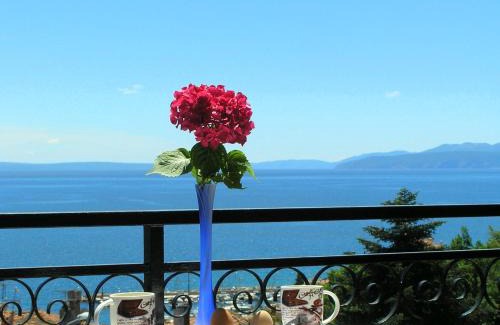 Volosko House | Guest House Lifestyle Holiday