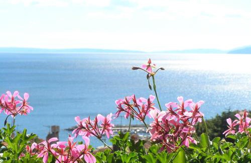 Volosko House | Guest House Lifestyle Holiday