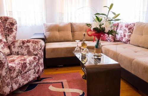 Zrenjanin House | Guest House Luxotel
