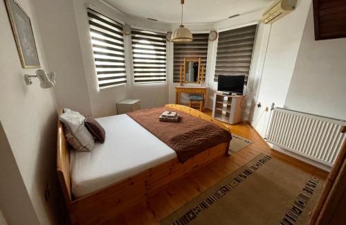 Zrenjanin House | Guest House Luxotel