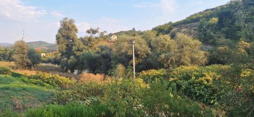Sarajevo Canton House | Guest House Nature