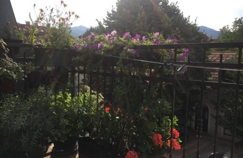 Donje Polje House | Guest House Pansion 10