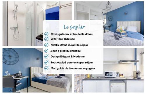 Notre-Dame Apartment | Guest loc-Le Saphir-3min château