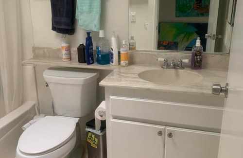 Thousand Oaks House | Guest room/shared bath chill vibes