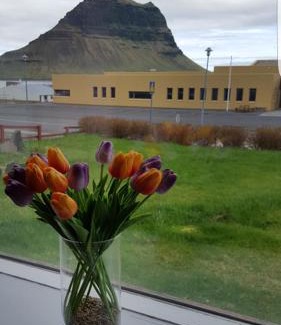 Grundarfjordur House | Guesthouse 43 Free parking