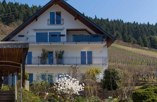 Burg Apartment | Guesthouse Falklay in the Paul Knod winery - double room balcony Cat.A