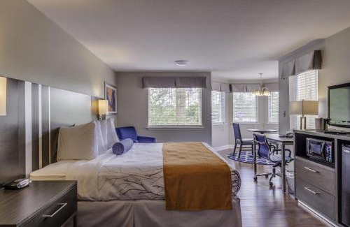 Lexington Hotel | Guesthouse Inn & Suites Lexington