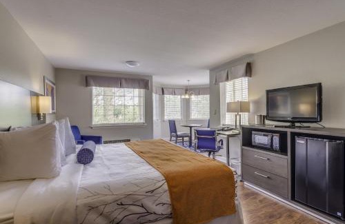 Lexington Hotel | Guesthouse Inn & Suites Lexington