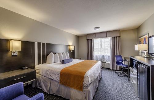 Lexington Hotel | Guesthouse Inn & Suites Lexington