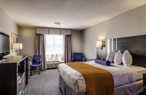 Lexington Hotel | Guesthouse Inn & Suites Lexington