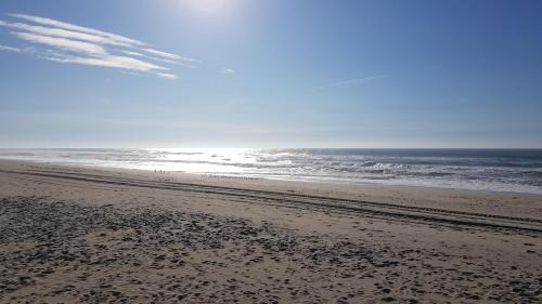 Praia de Mira House | GuestHouse O Cuco