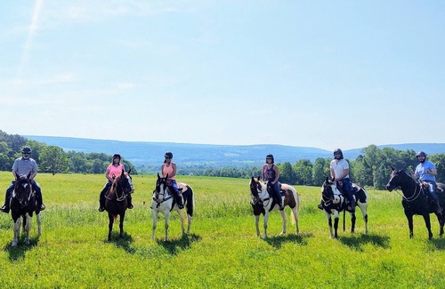 Portage Cottage | Guesthouse on working horse farm adjacent to Letchworth State Park