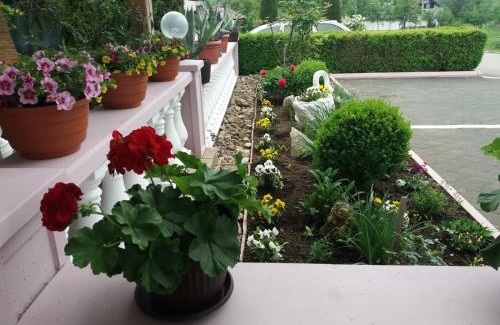 Catrnja House | Guesthouse Tomas