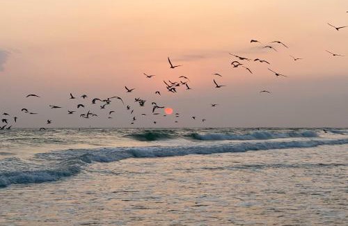 Sarasota Apartment | Gulfview Lido Key Gem - Walk to Beach and Shops