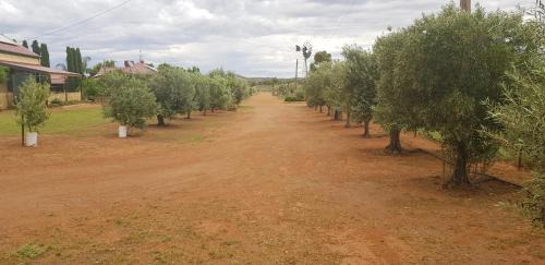 Broken Hill House | Gum Paddock Country Cottage