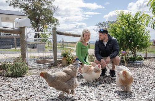 Seaton Villa | Gumnut Cottage Gippsland - Tiny Eco Stay w King Bed & Mountain Views