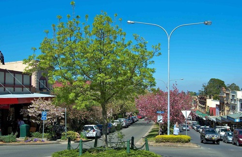 Wentworth Falls House | Gumtree Cottage in a quiet street with fenced yard