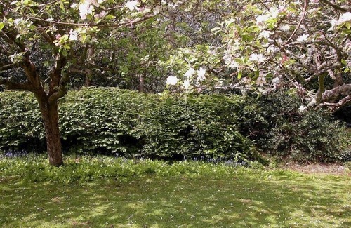 Upper Dicker Cottage | Gun Hill Cottage