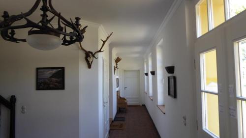 Gingst Apartment | Gut Rattelvitz, Parterre B MITTE