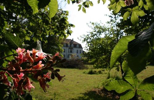 Bad Sulze Apartment | Gutshaus Redderstorf