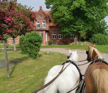 Thorstorf Apartment | Gutshaus Thorstorf FeWo Poel