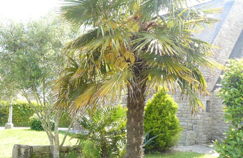 Saint-Philibert Ski Chalet | GWEVAZIG - Holiday home with garden near the beach, Morbihan - S22