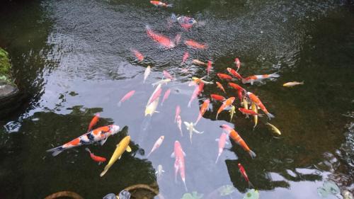 Yumoto Hotel | Gyokutei