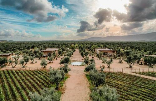 Valle de Guadalupe Resort | Hábimo - Valle de Guadalupe