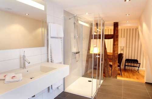 Petite-France Hotel | Hôtel Ettenheim
