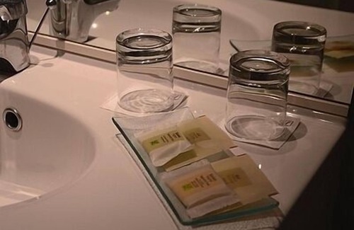 Annecy Hotel | Hôtel Les Terrasses