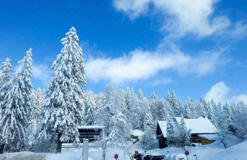 Feldberg Apartment | H&P Touristik Residenz Grafenmatt GRA-3-2