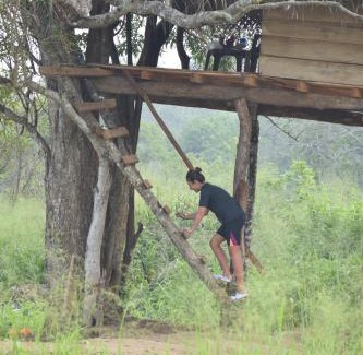 Habarana Other | Habarana Wildwood Treehouse