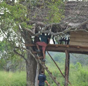 Habarana Other | Habarana Wildwood Treehouse