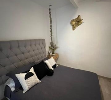 Zona Centro Hotel | Habitacion pequeña en el centro de SMA