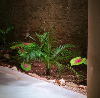 Chichen Itza - Valladolid Apartment | Habitaciones Petra
