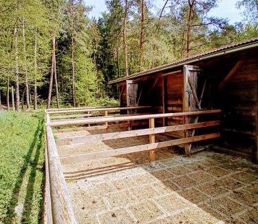 Heiligenkreuz im Lafnitztal Bed & Breakfast | Hacienda del Piero