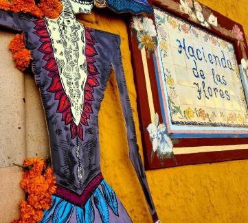 Zona Centro Hotel | Hacienda de las Flores