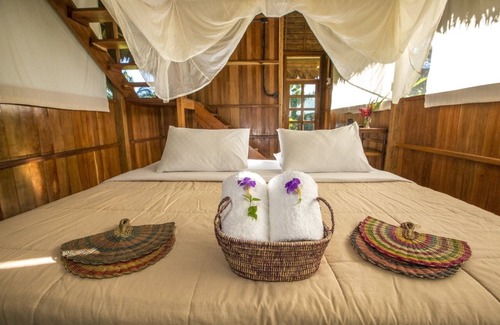 Puerto Maldonado Other | Hacienda Herrera Tambopata
