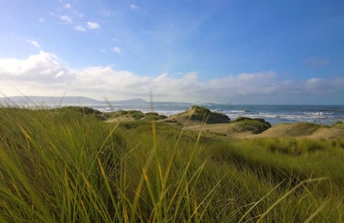 Kidwelly Cottage | Hafan Bach dog friendly cottage