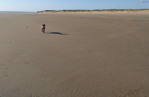 Kidwelly Cottage | Hafan Bach dog friendly cottage